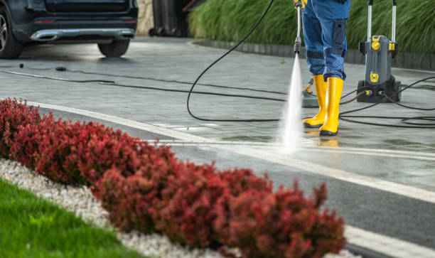 Best Building Exterior Washing  in Midway North, TX